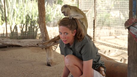 Dierendokter in het wild